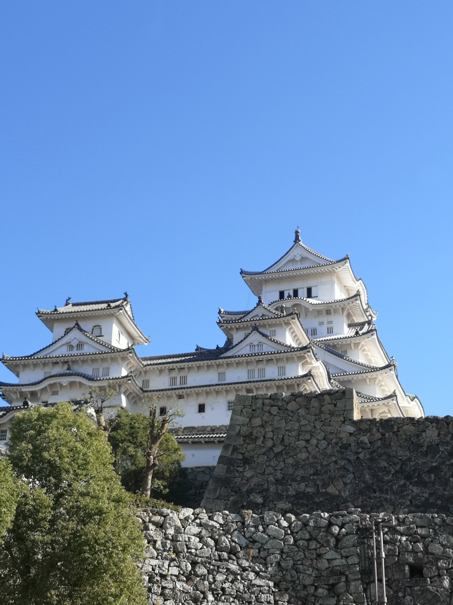 京都自助遊攻略