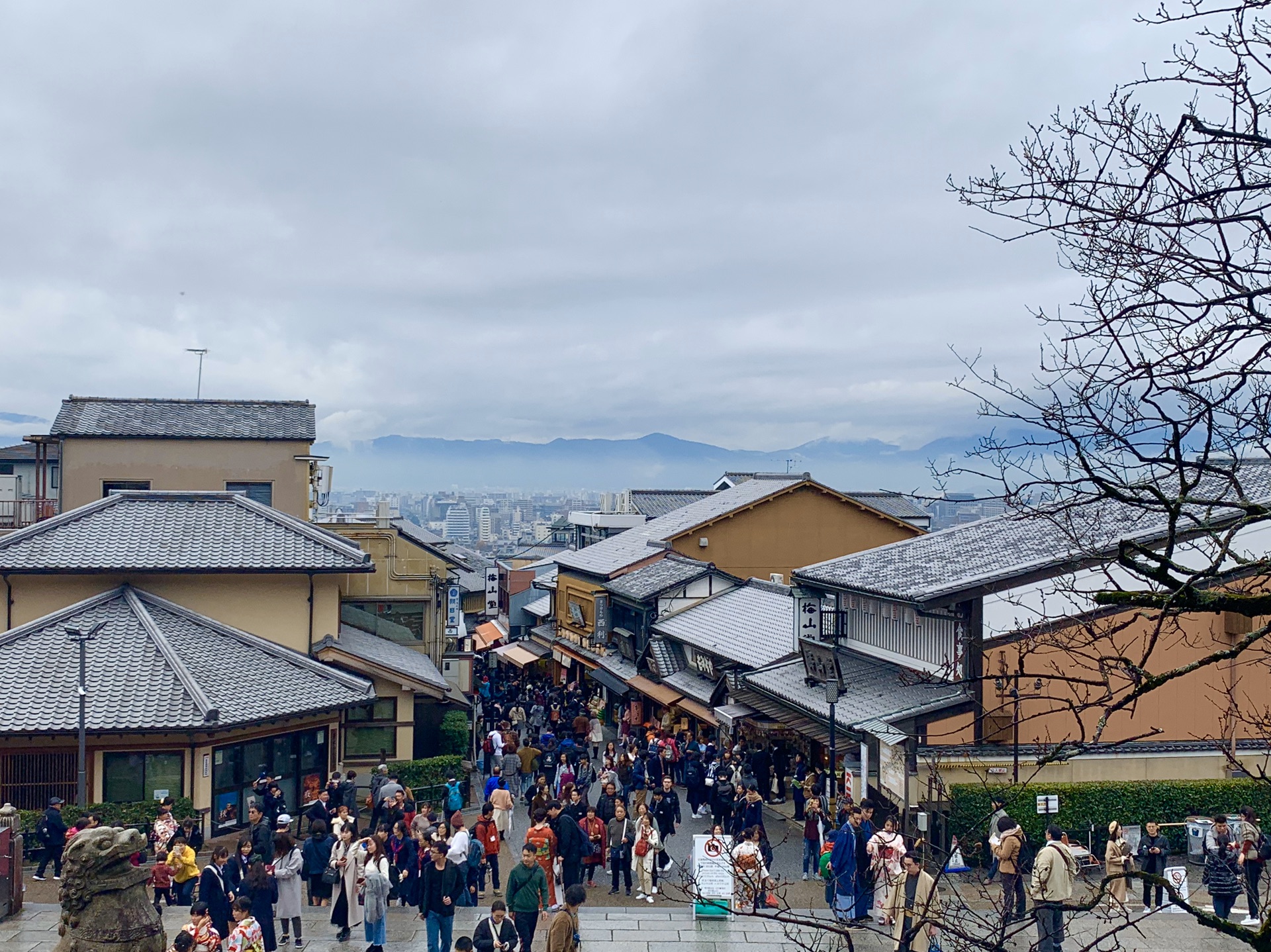 京都自助遊攻略