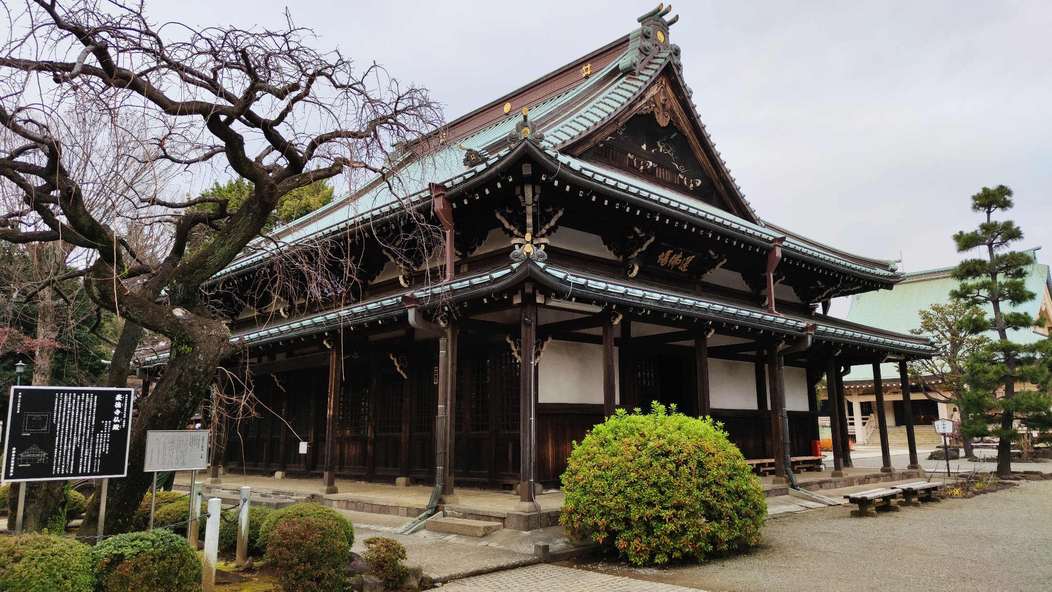 東京自助遊攻略