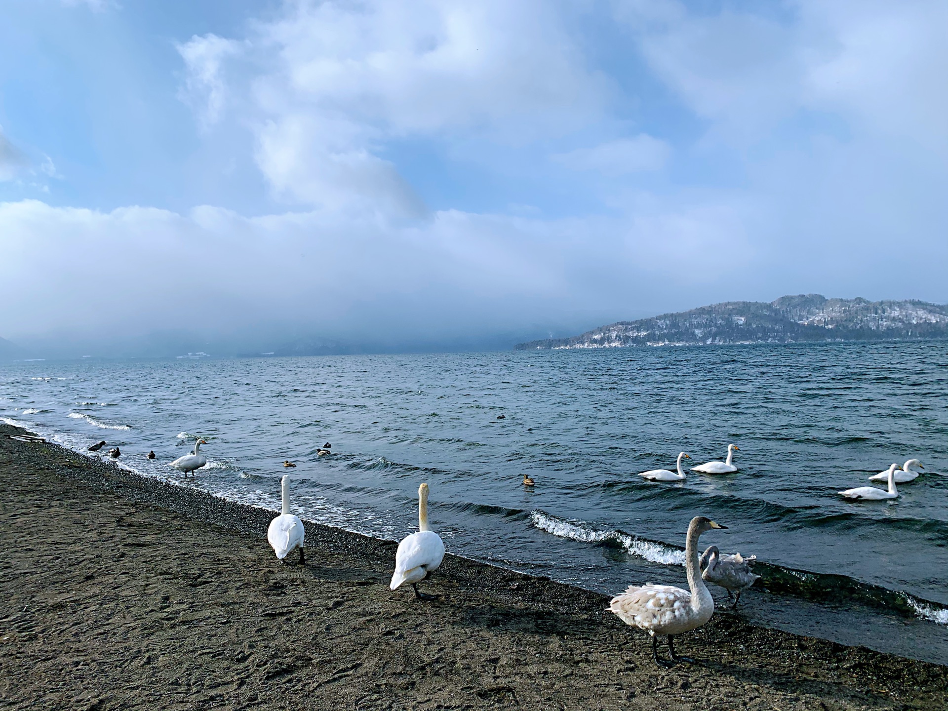 北海道自助遊攻略