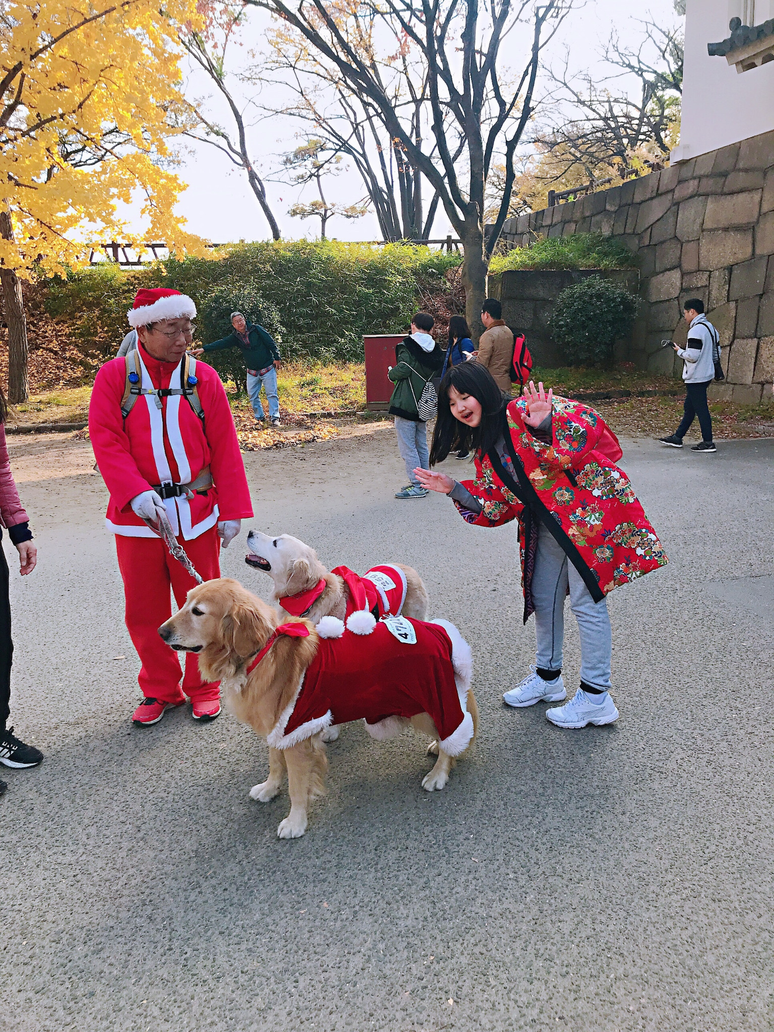 京都自助遊攻略