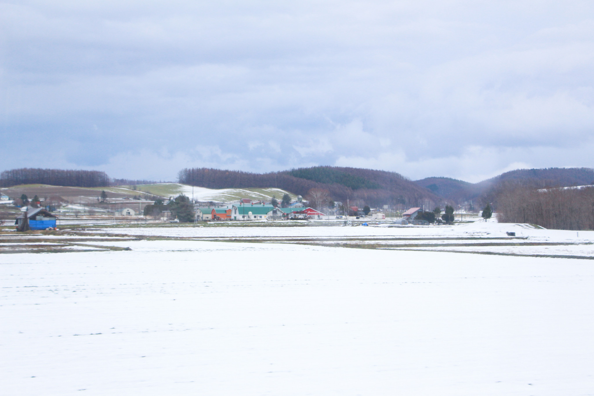 北海道自助遊攻略