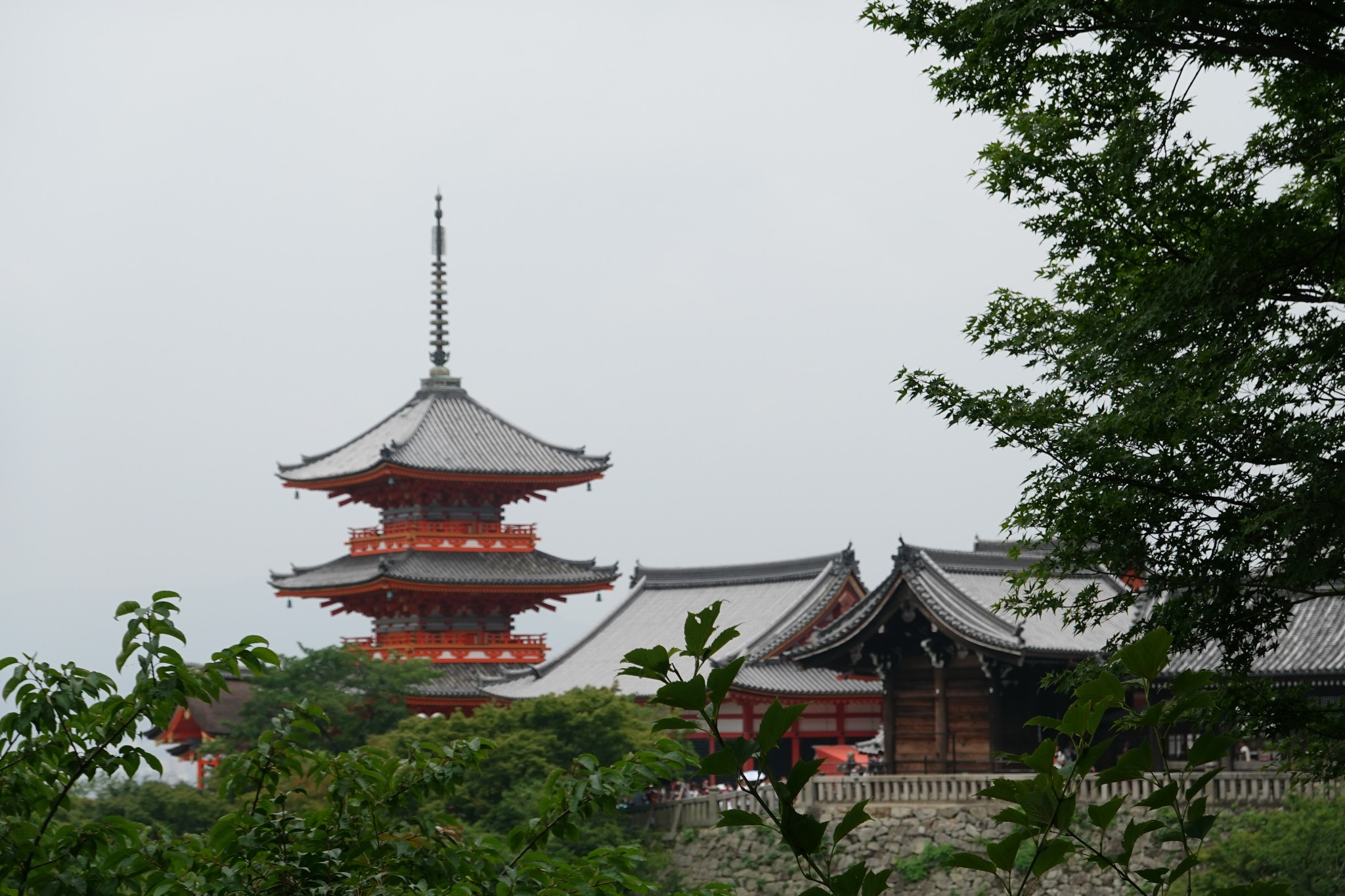 京都自助遊攻略