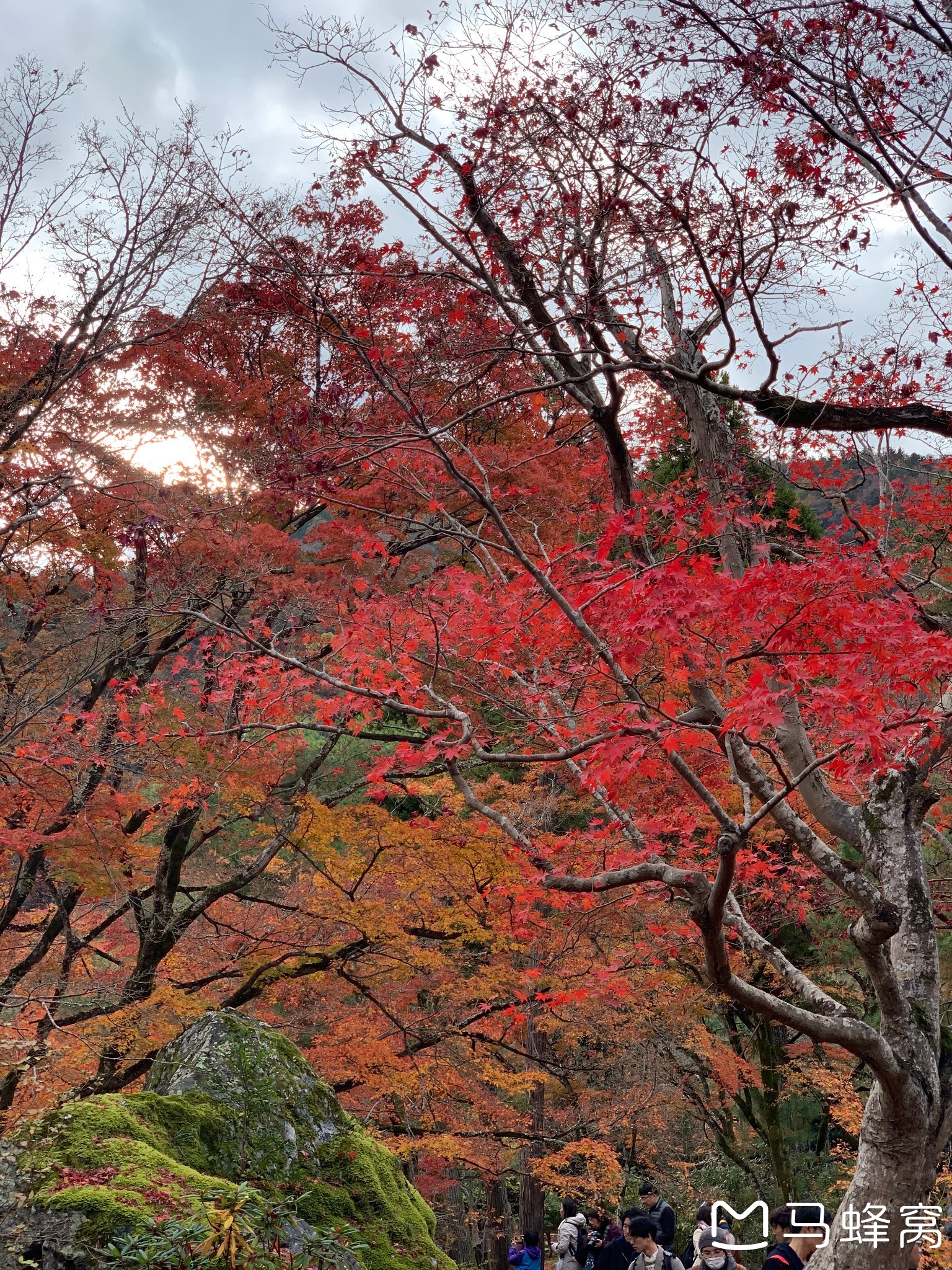 京都自助遊攻略