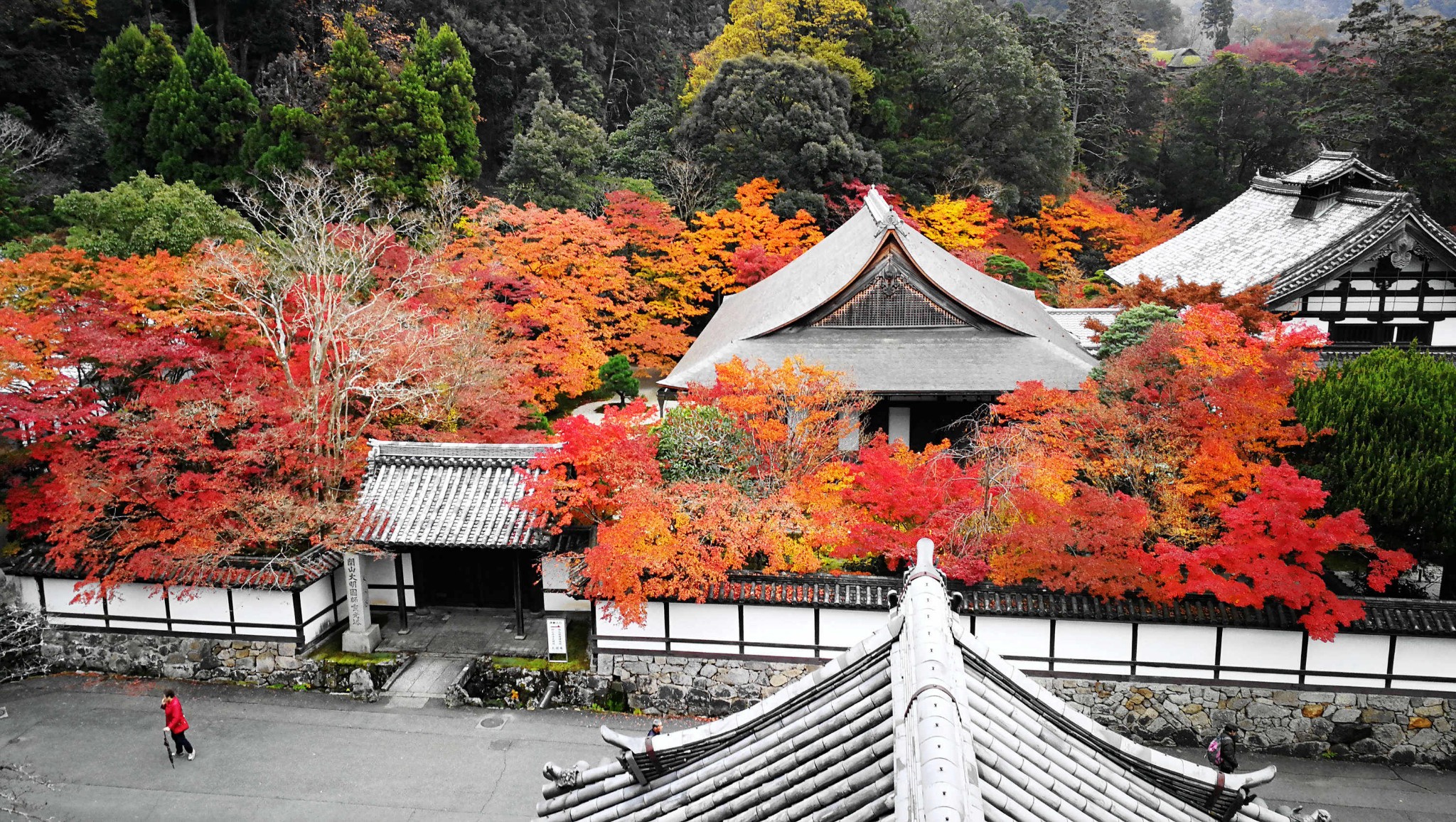 京都自助遊攻略