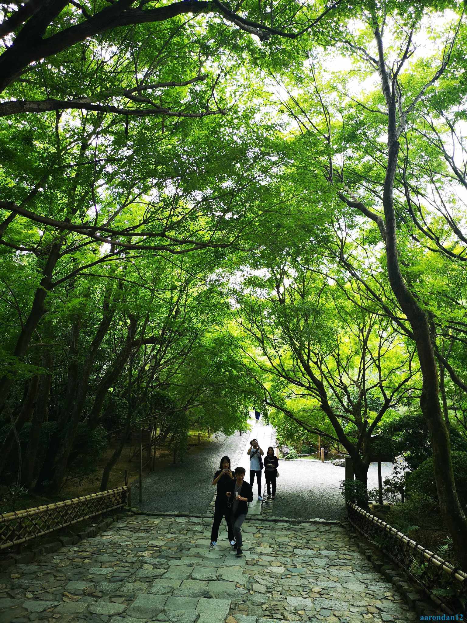 京都自助遊攻略
