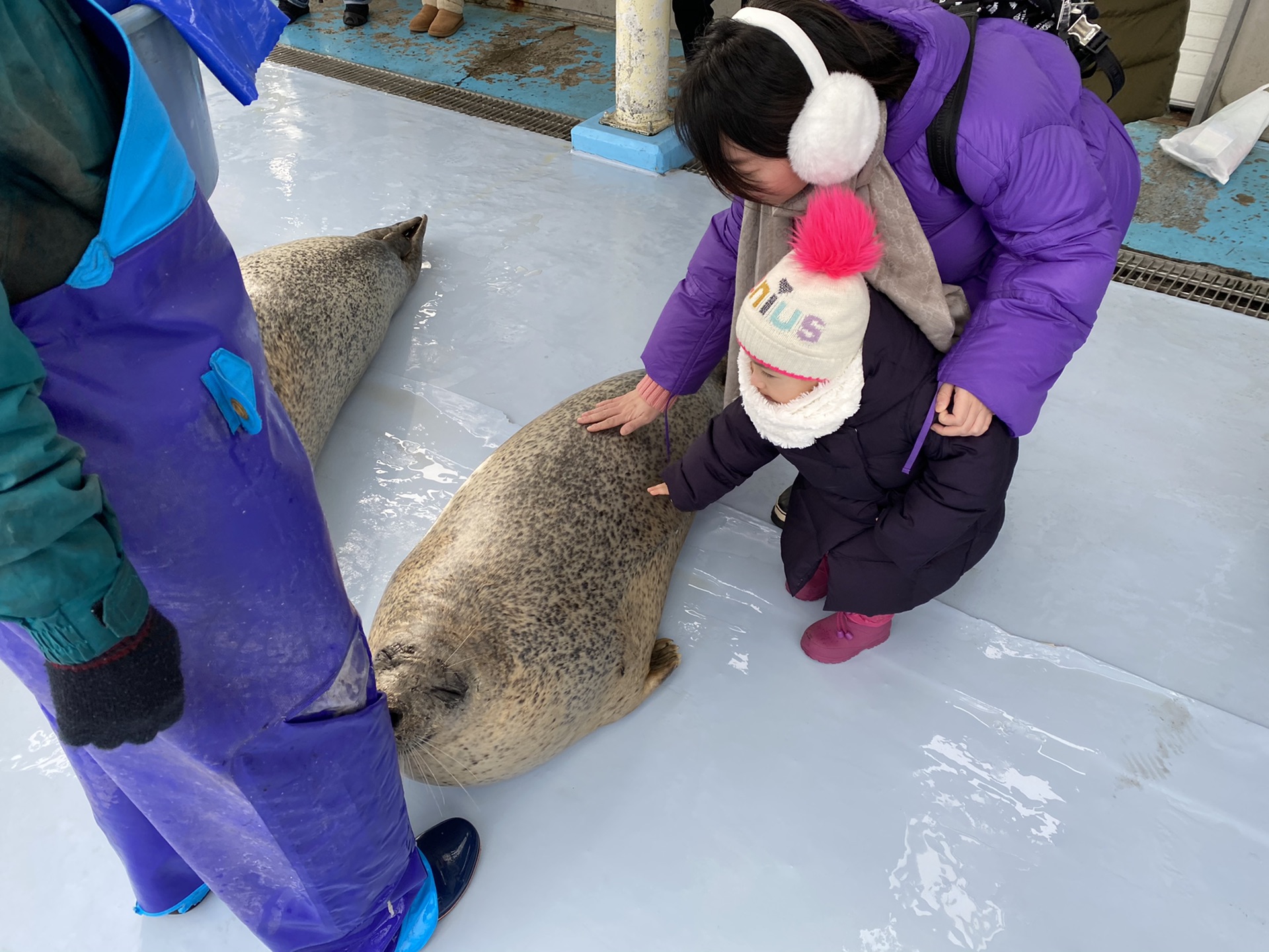 北海道自助遊攻略