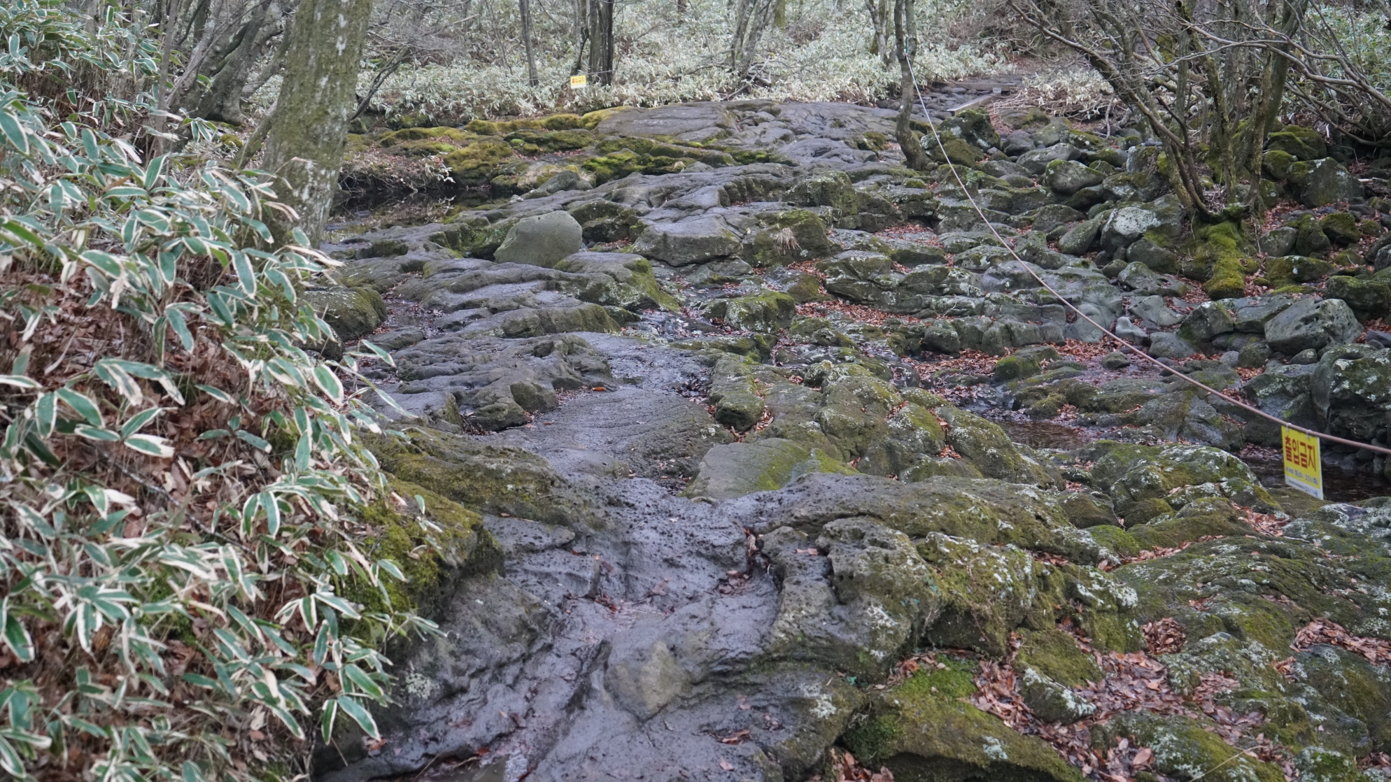 濟州島自助遊攻略