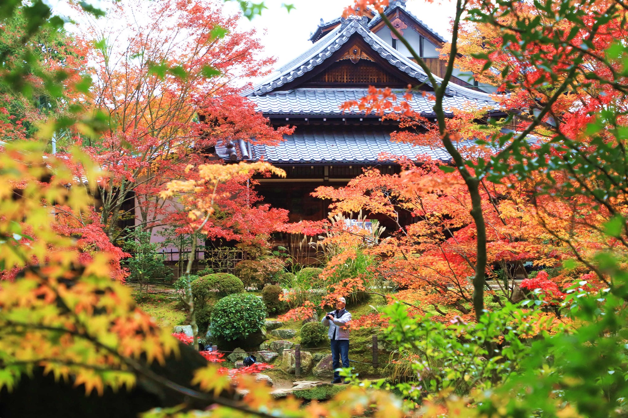 京都自助遊攻略