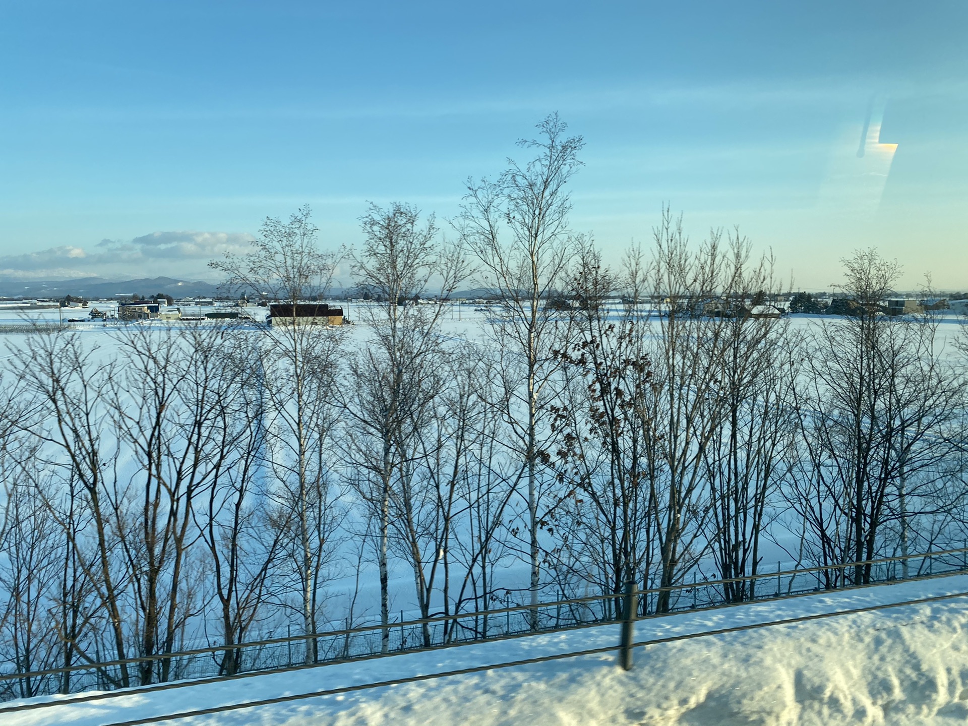 北海道自助遊攻略