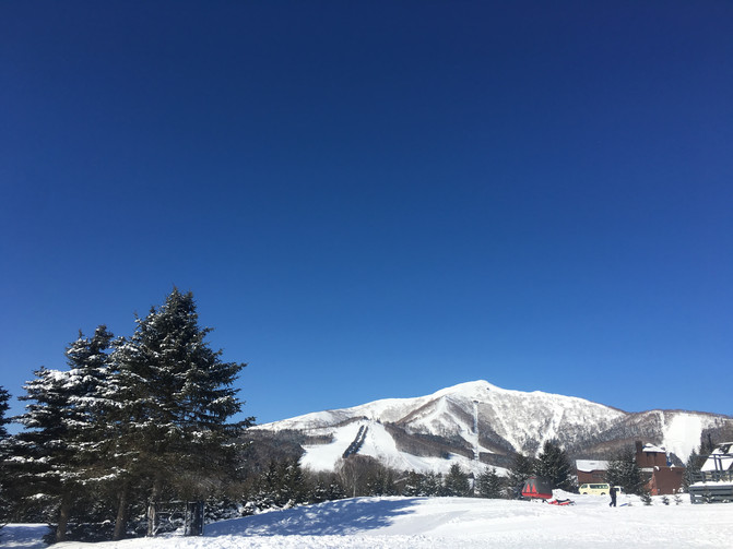 北海道自助遊攻略