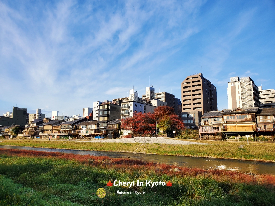 京都自助遊攻略