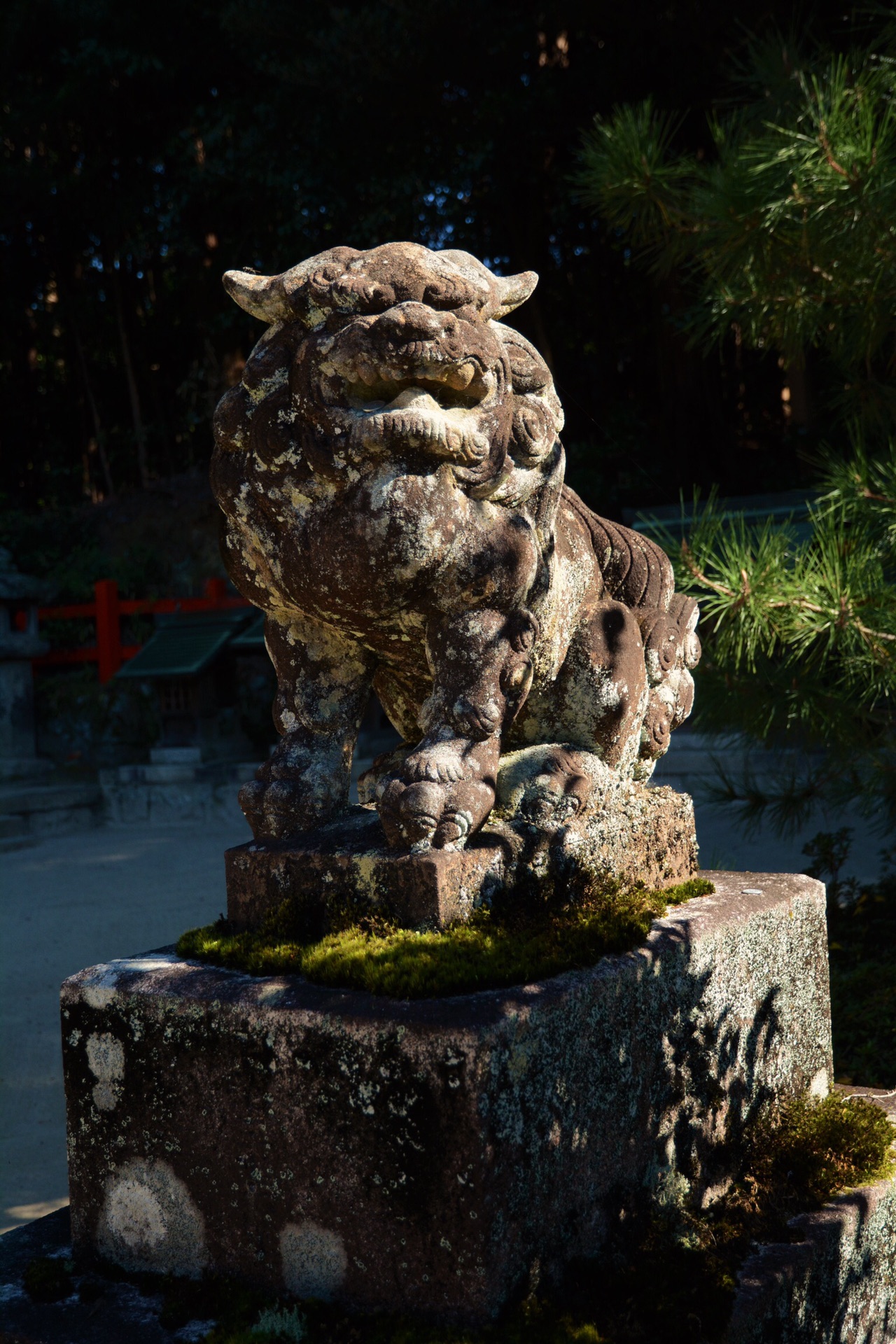 京都自助遊攻略