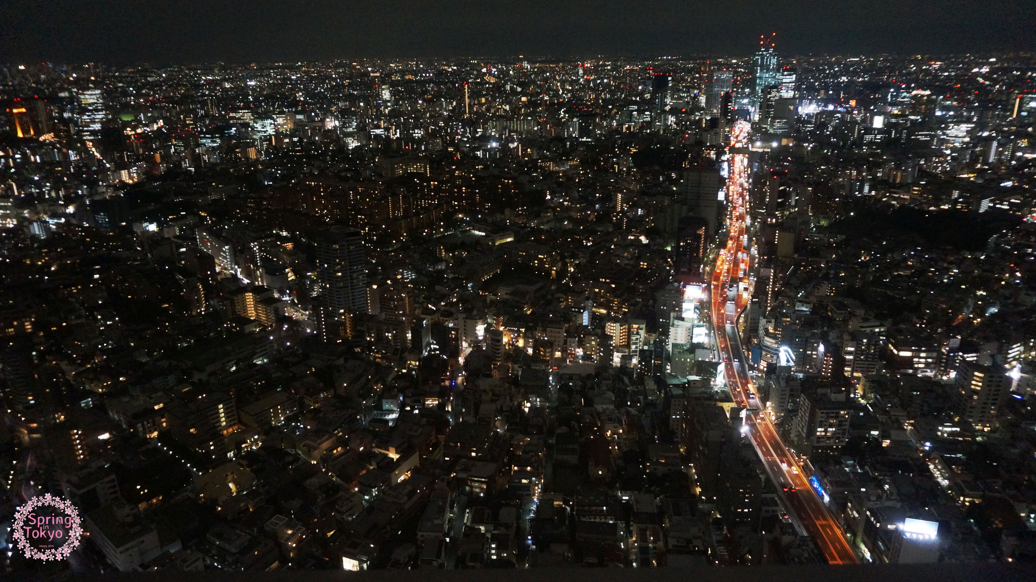 東京自助遊攻略