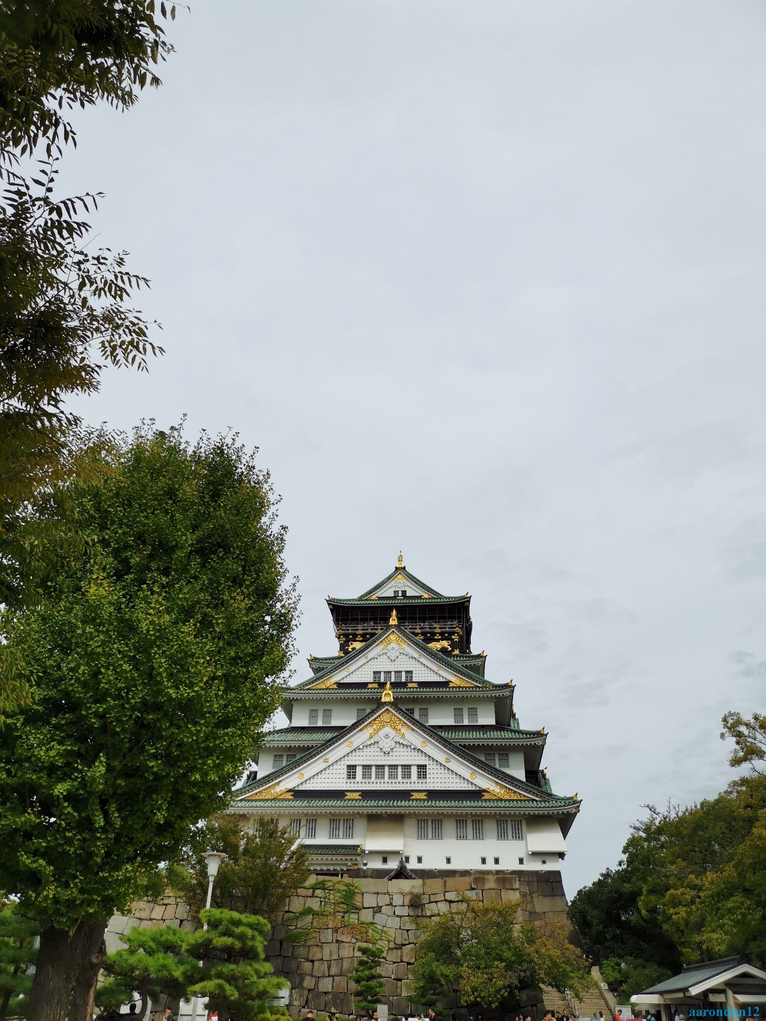 京都自助遊攻略