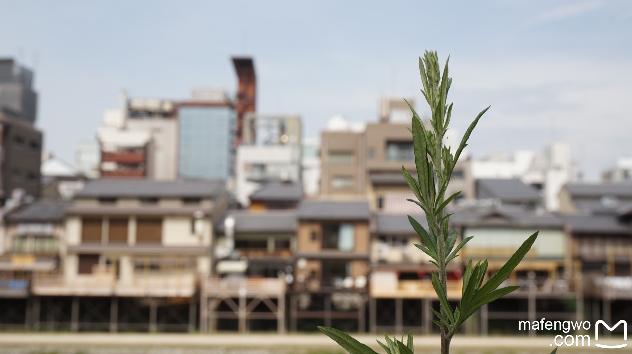 京都自助遊攻略