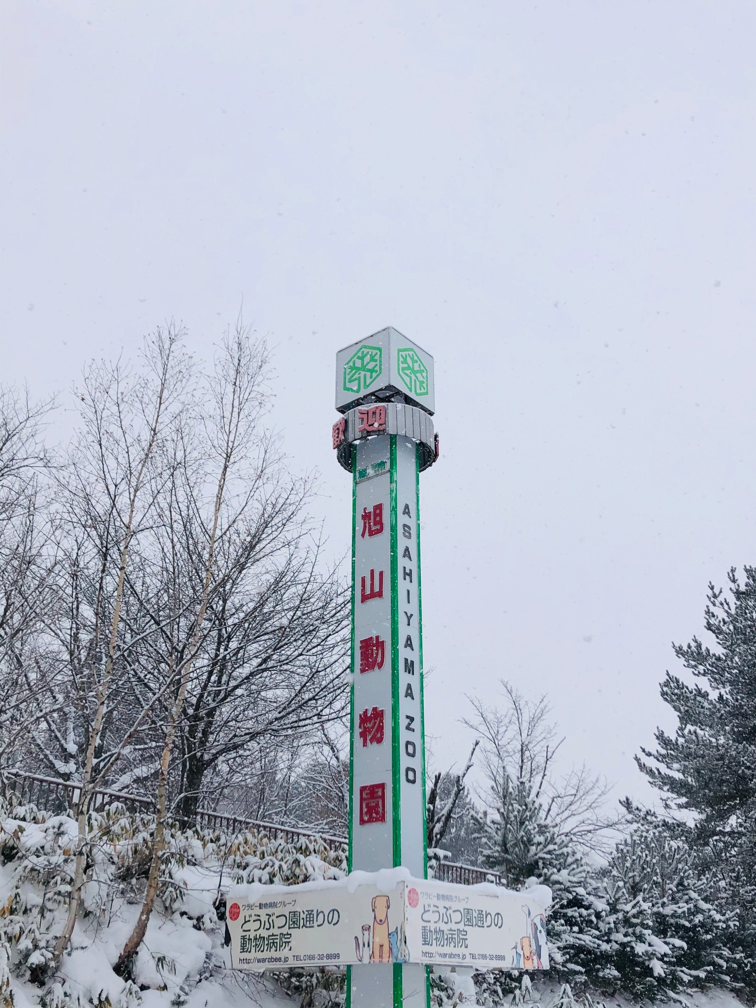 北海道自助遊攻略