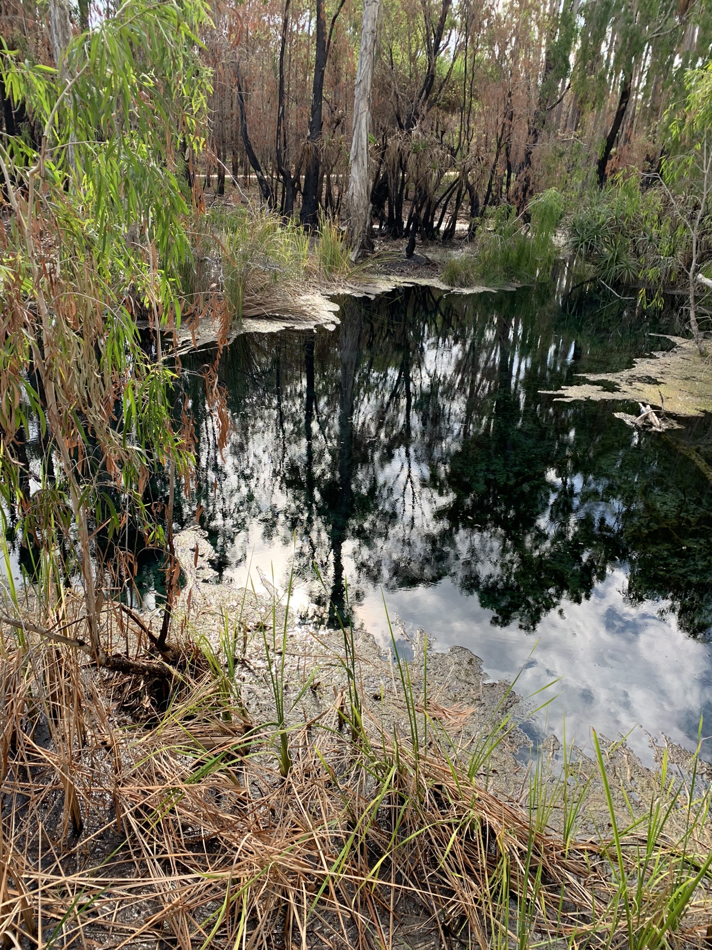 烏魯魯—卡塔丘塔國家公園自助遊攻略