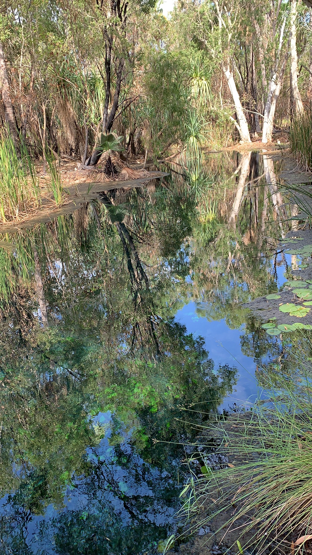 烏魯魯—卡塔丘塔國家公園自助遊攻略