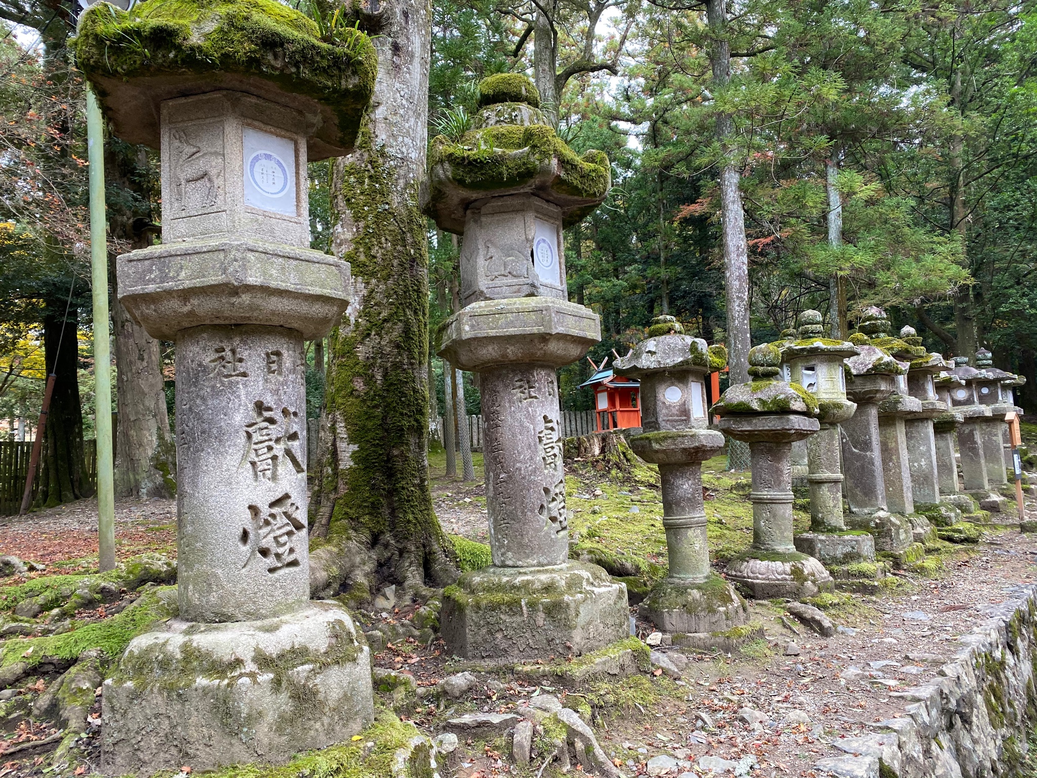 京都自助遊攻略