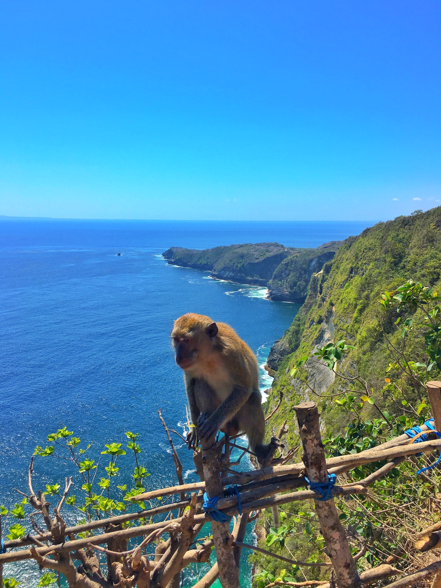 巴釐島自助遊攻略