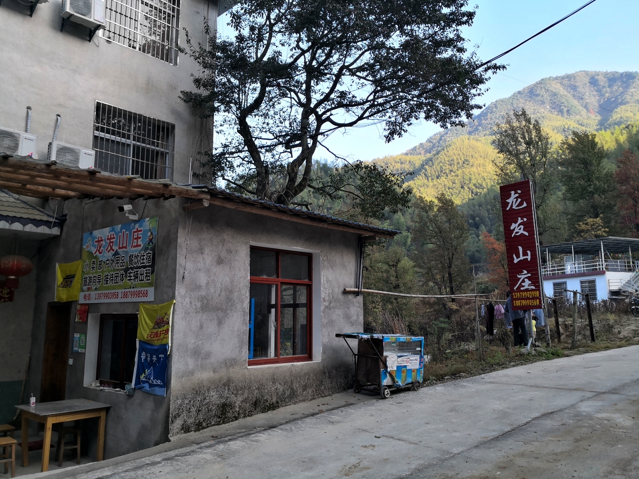 龙山村 马蜂窝