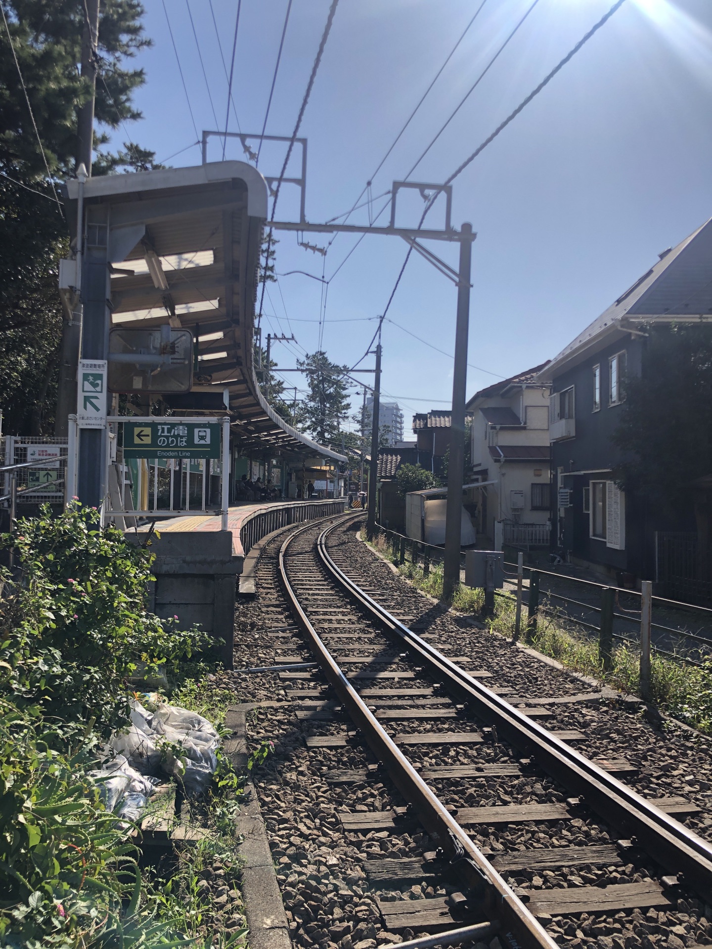 東京自助遊攻略