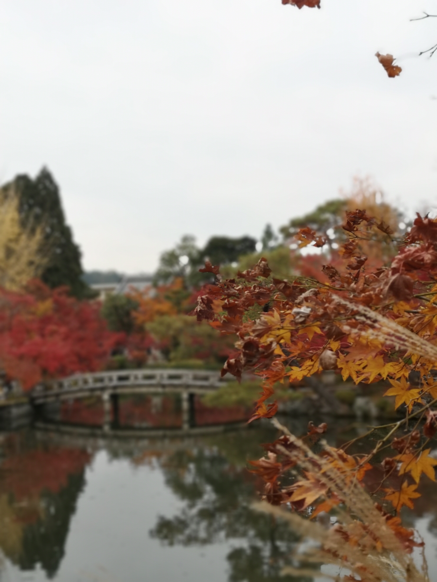 京都自助遊攻略