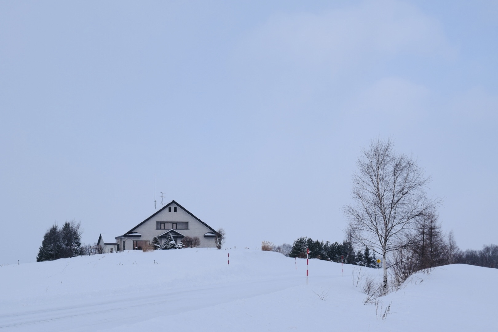 北海道自助遊攻略