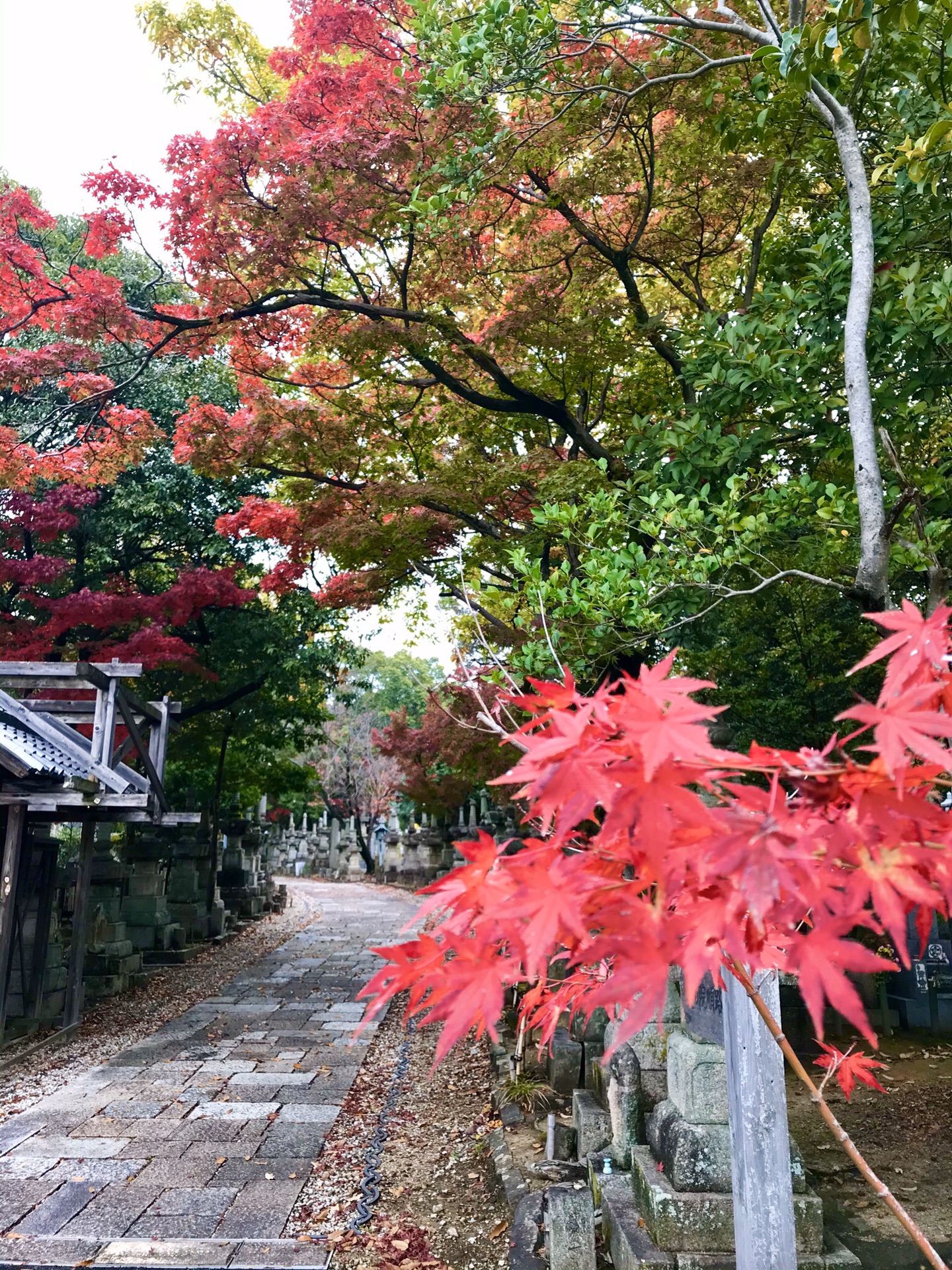 名古屋自助遊攻略