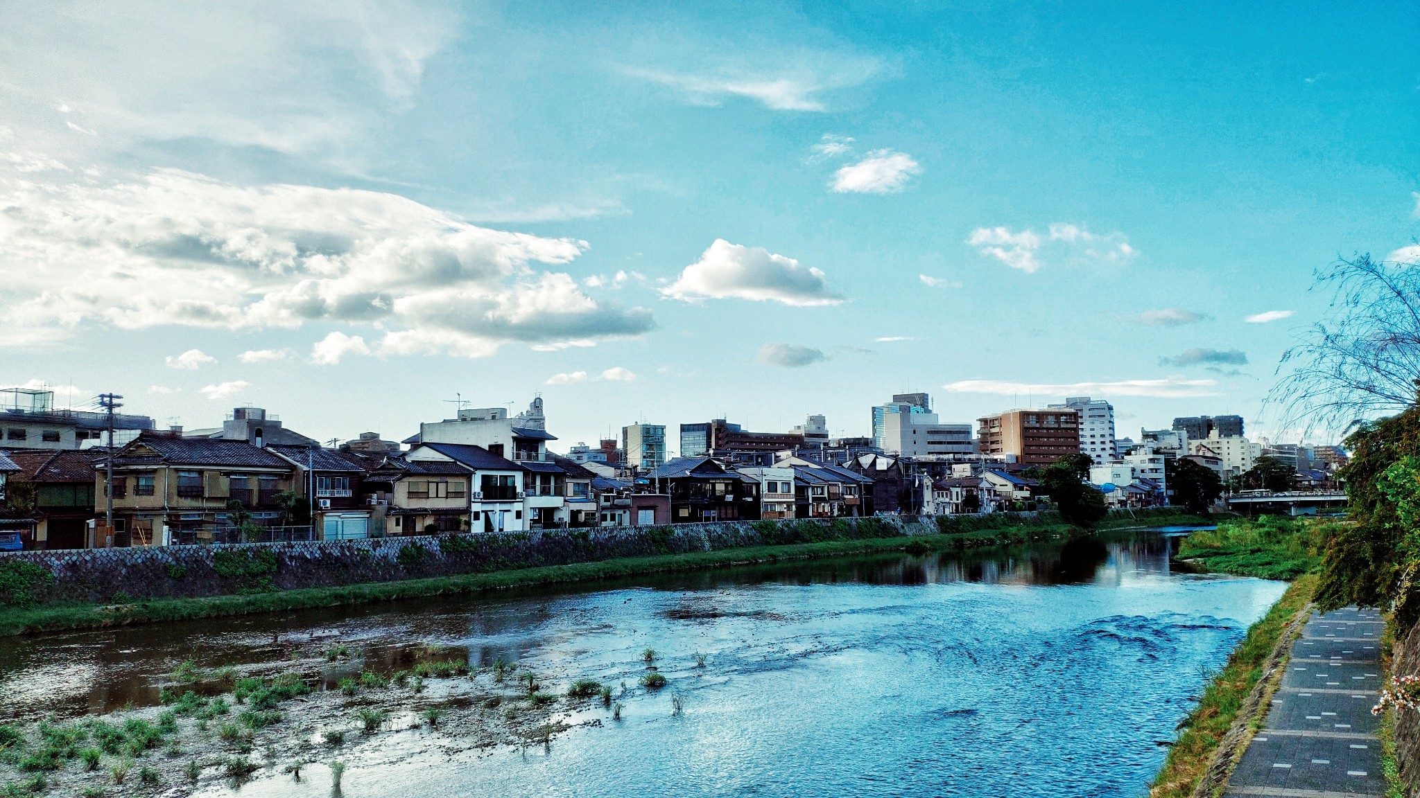 東京自助遊攻略