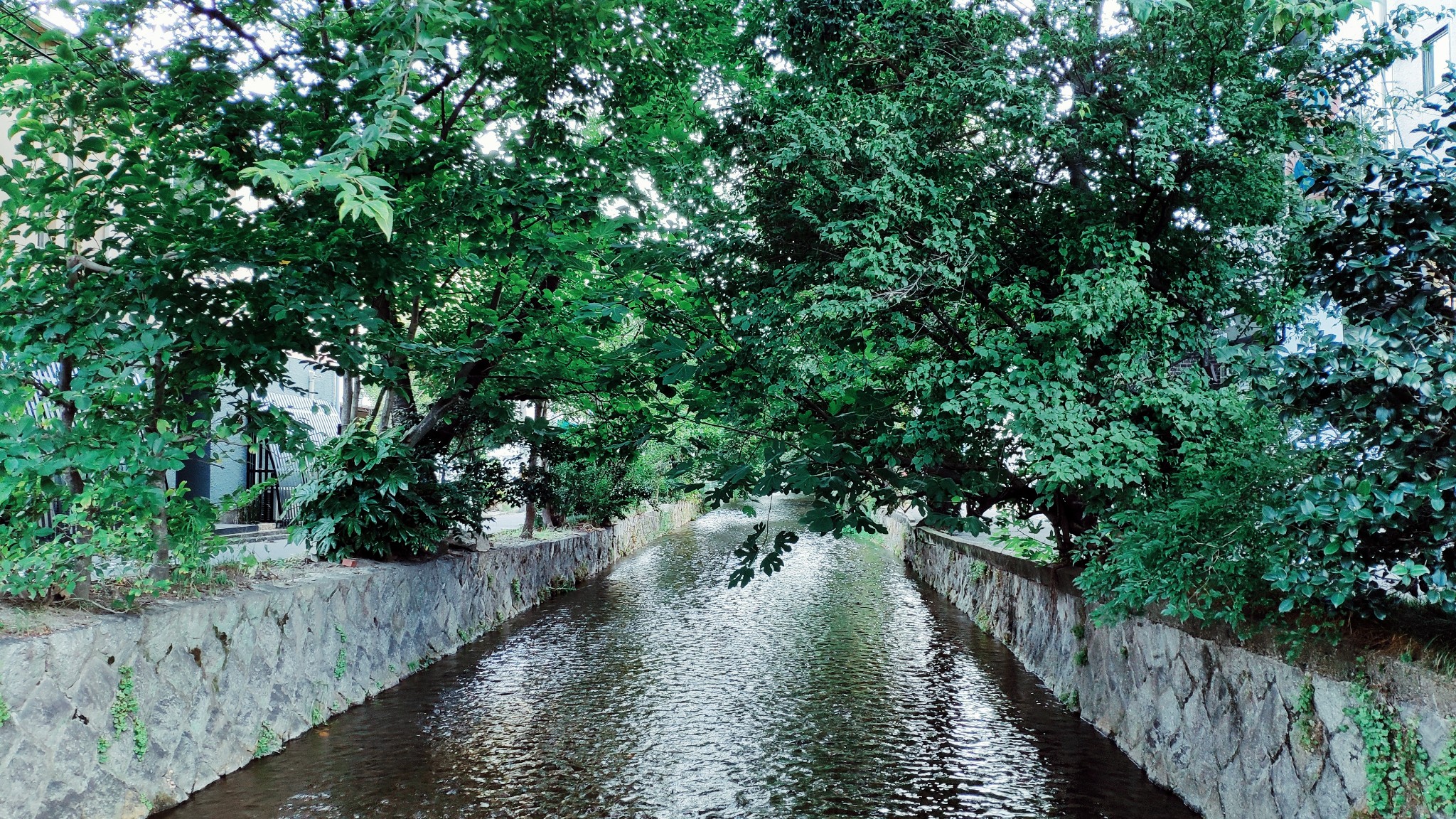 東京自助遊攻略