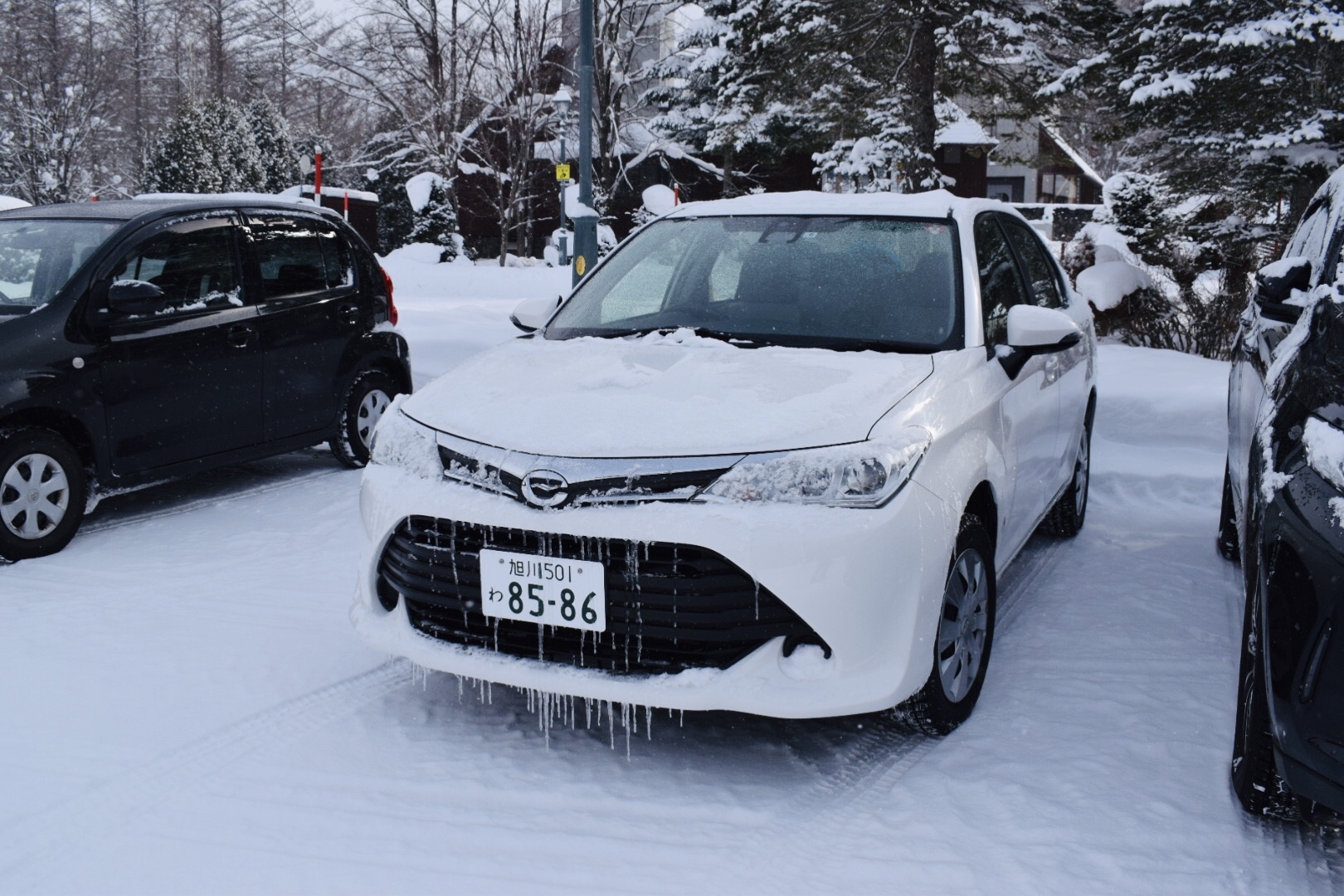 北海道自助遊攻略