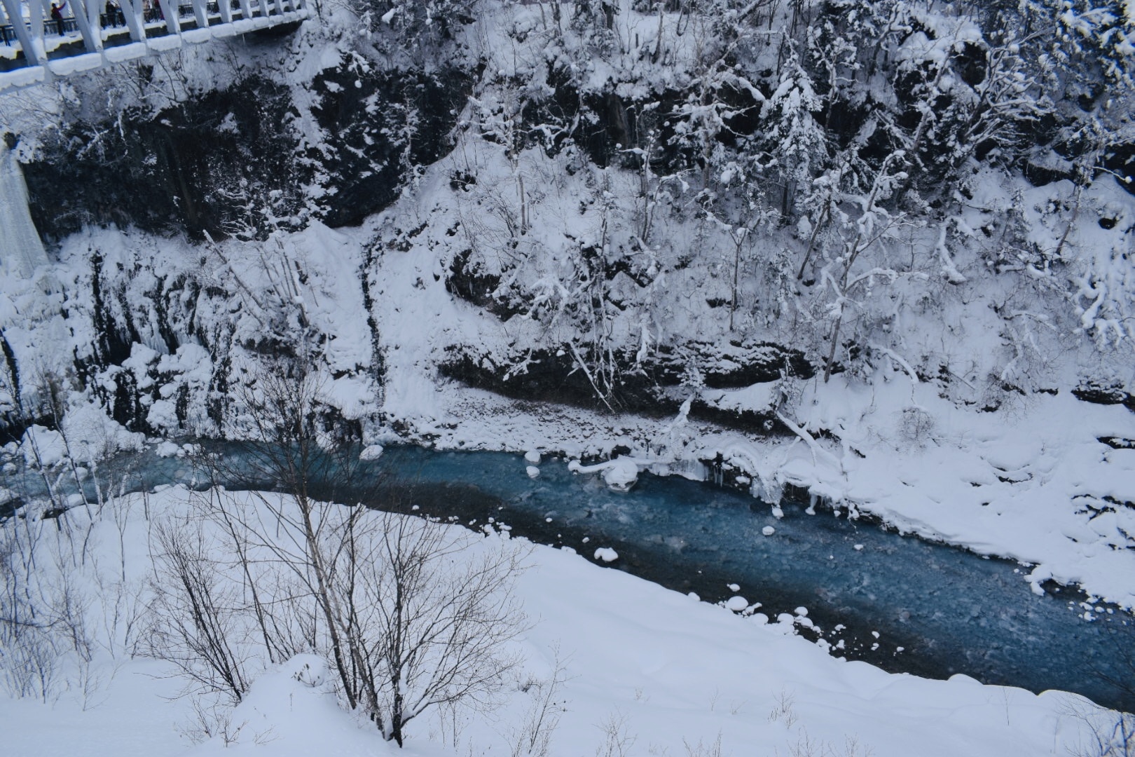 北海道自助遊攻略