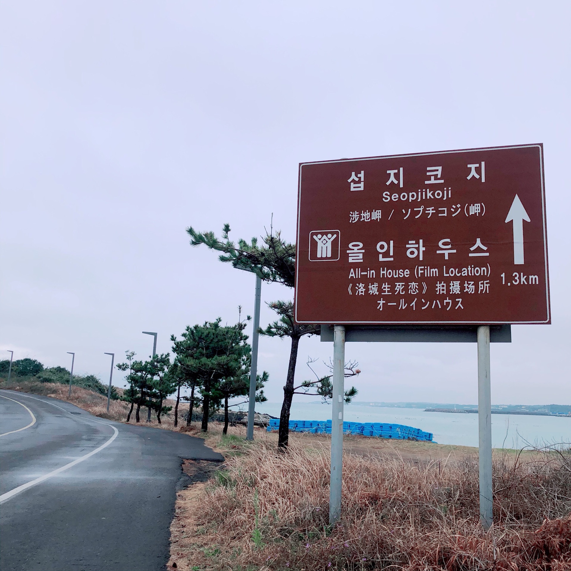 濟州島自助遊攻略