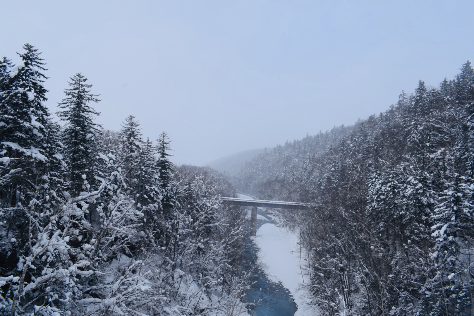 北海道自助遊攻略