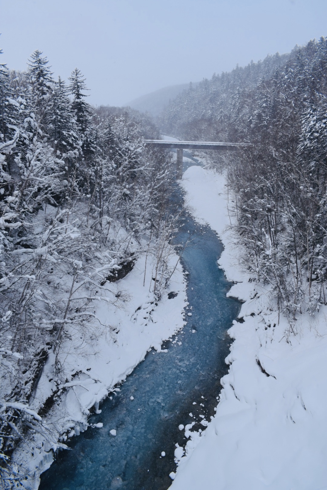 北海道自助遊攻略