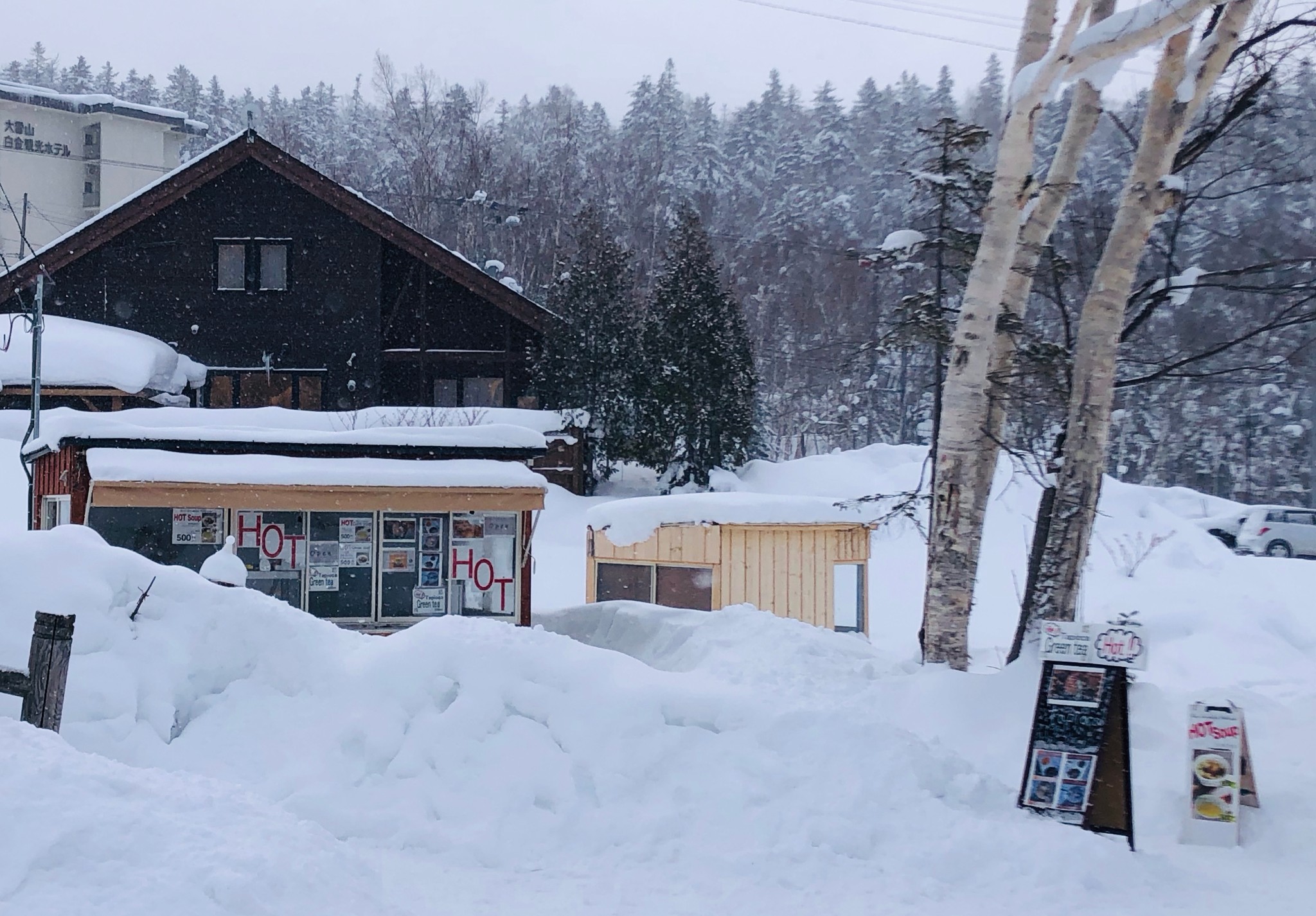 北海道自助遊攻略