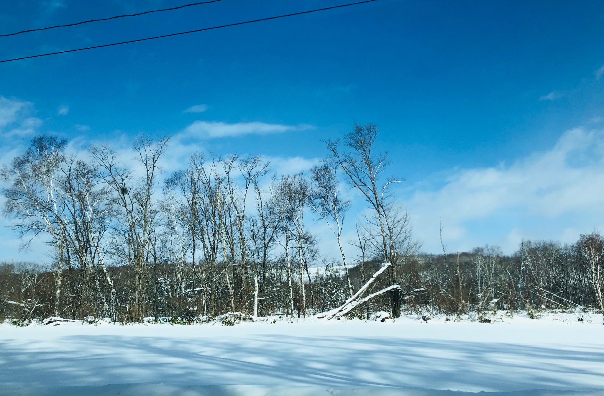 北海道自助遊攻略