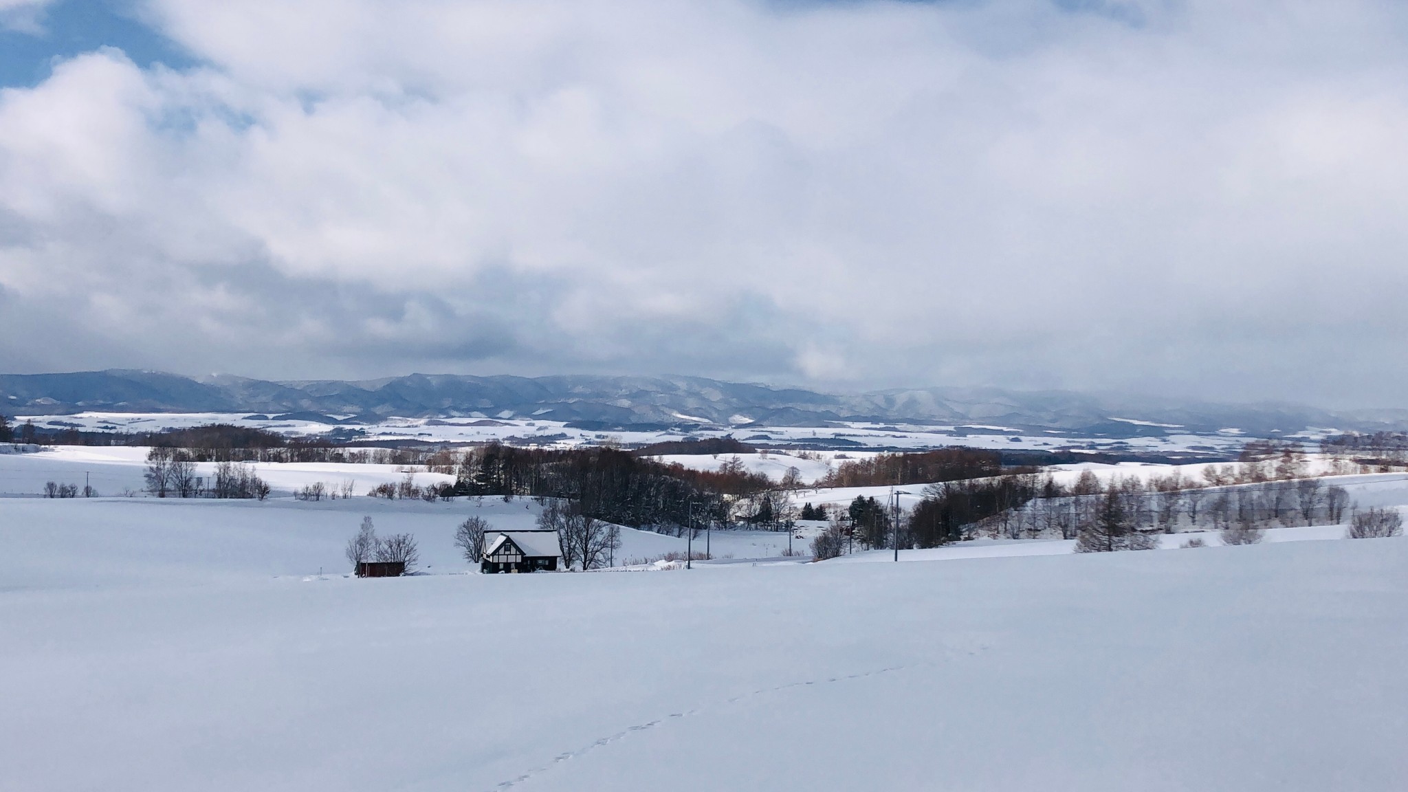 北海道自助遊攻略