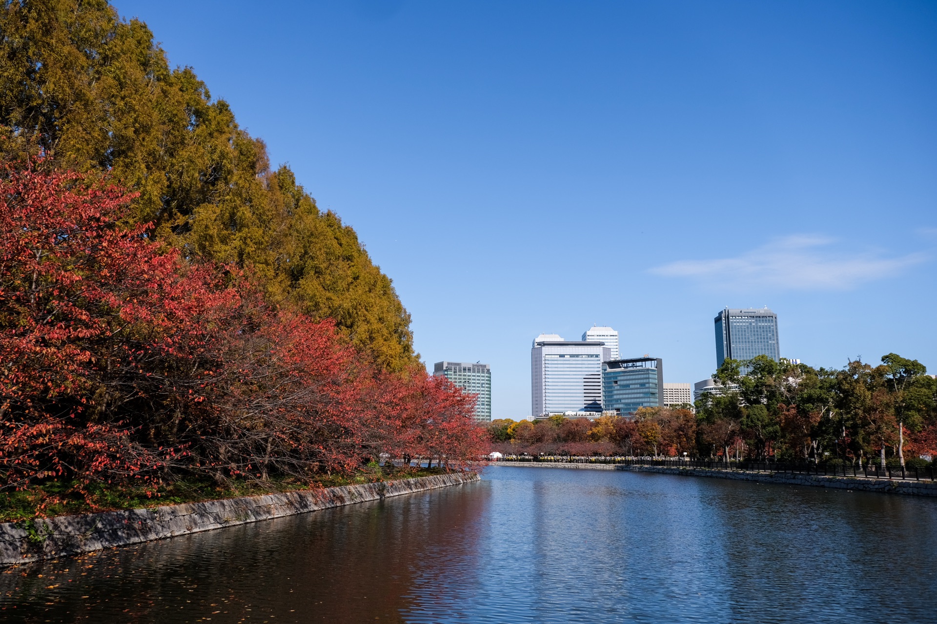 京都自助遊攻略