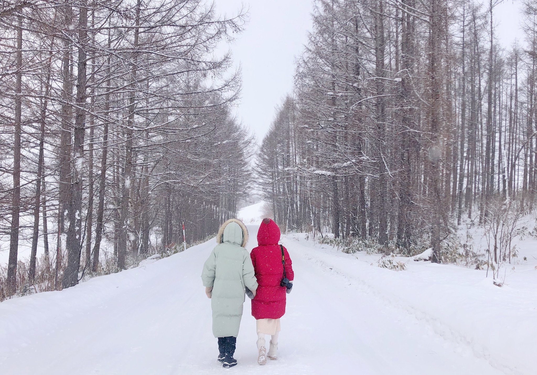 北海道自助遊攻略