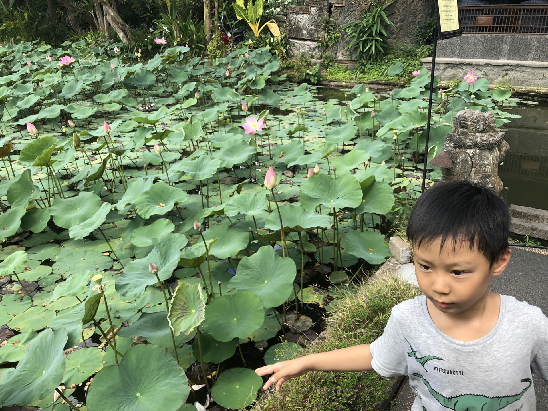 巴釐島自助遊攻略