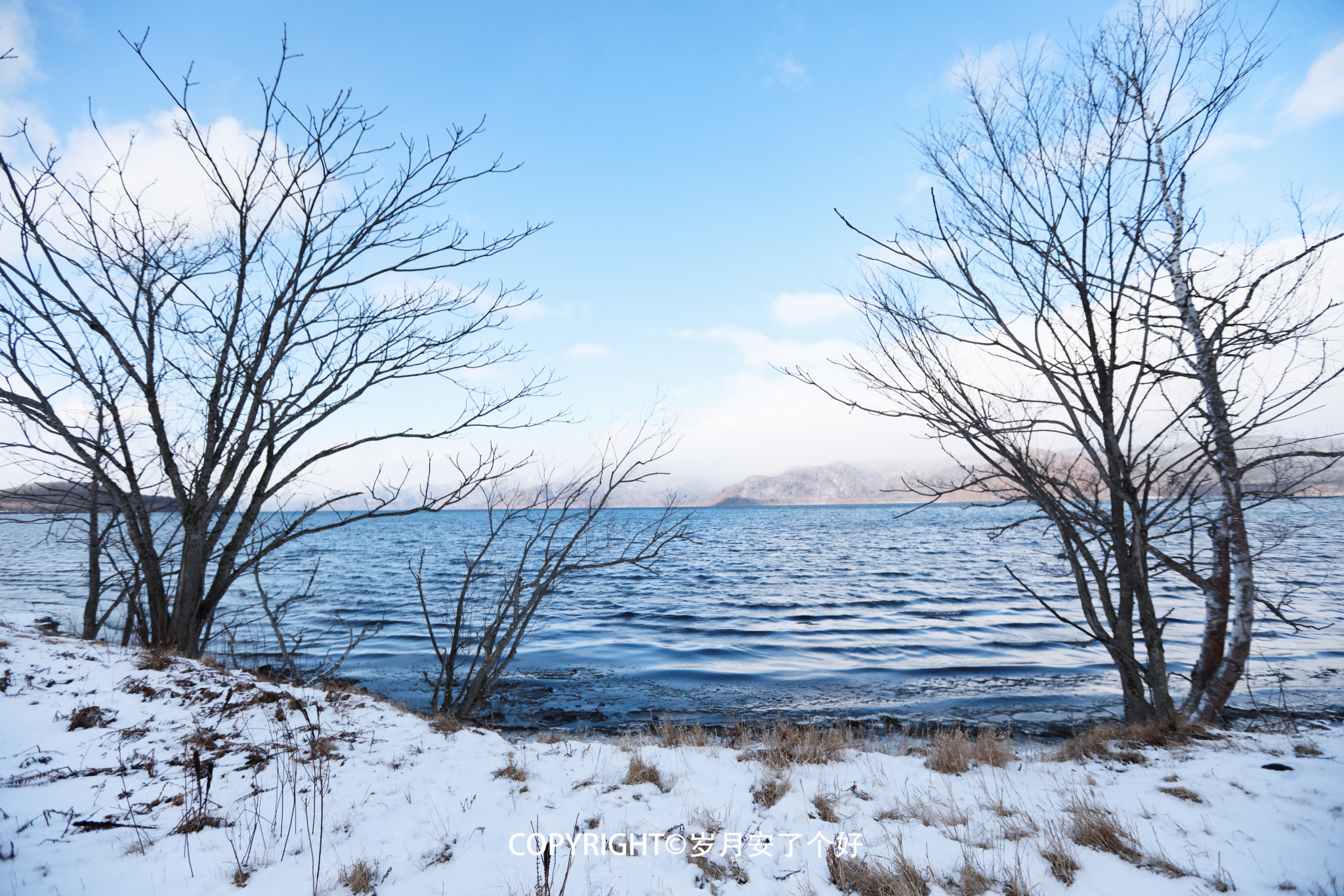 北海道自助遊攻略