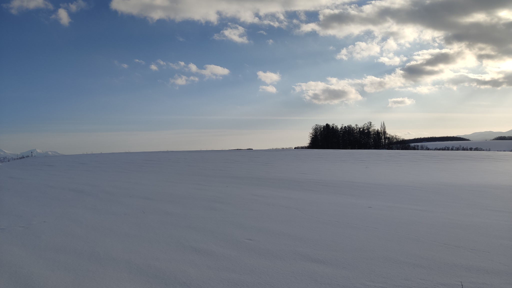 北海道自助遊攻略