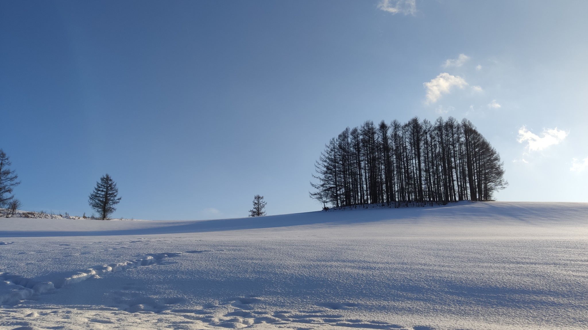 北海道自助遊攻略