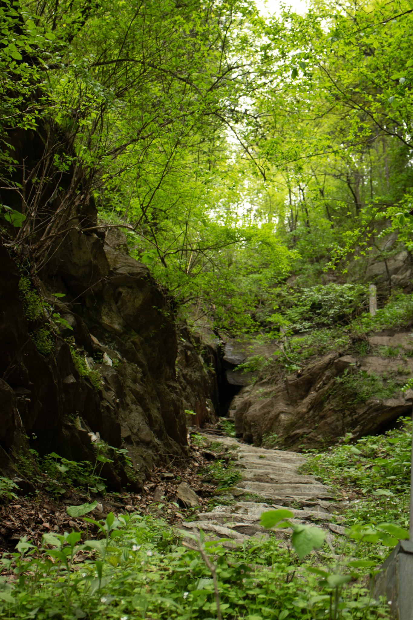 201678春游伏龙山,十堰自助游攻略 - 马蜂窝
