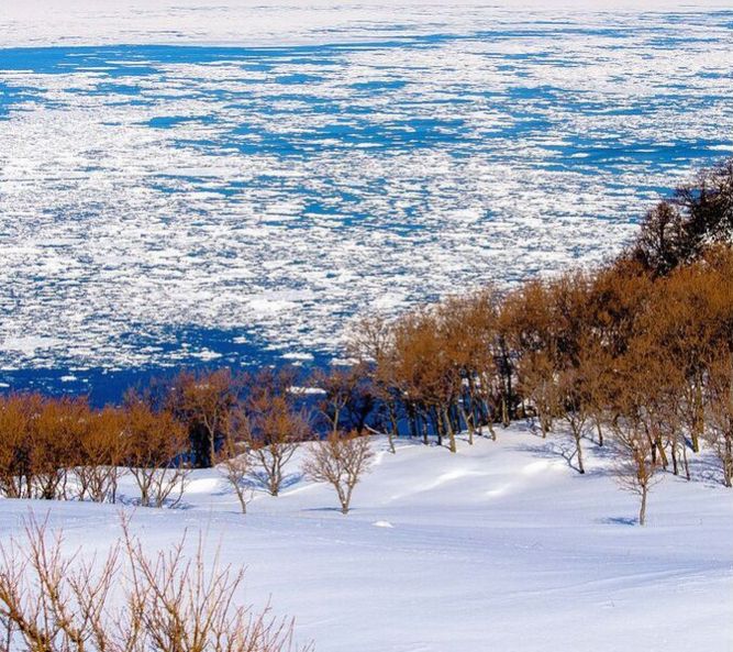 北海道自助遊攻略