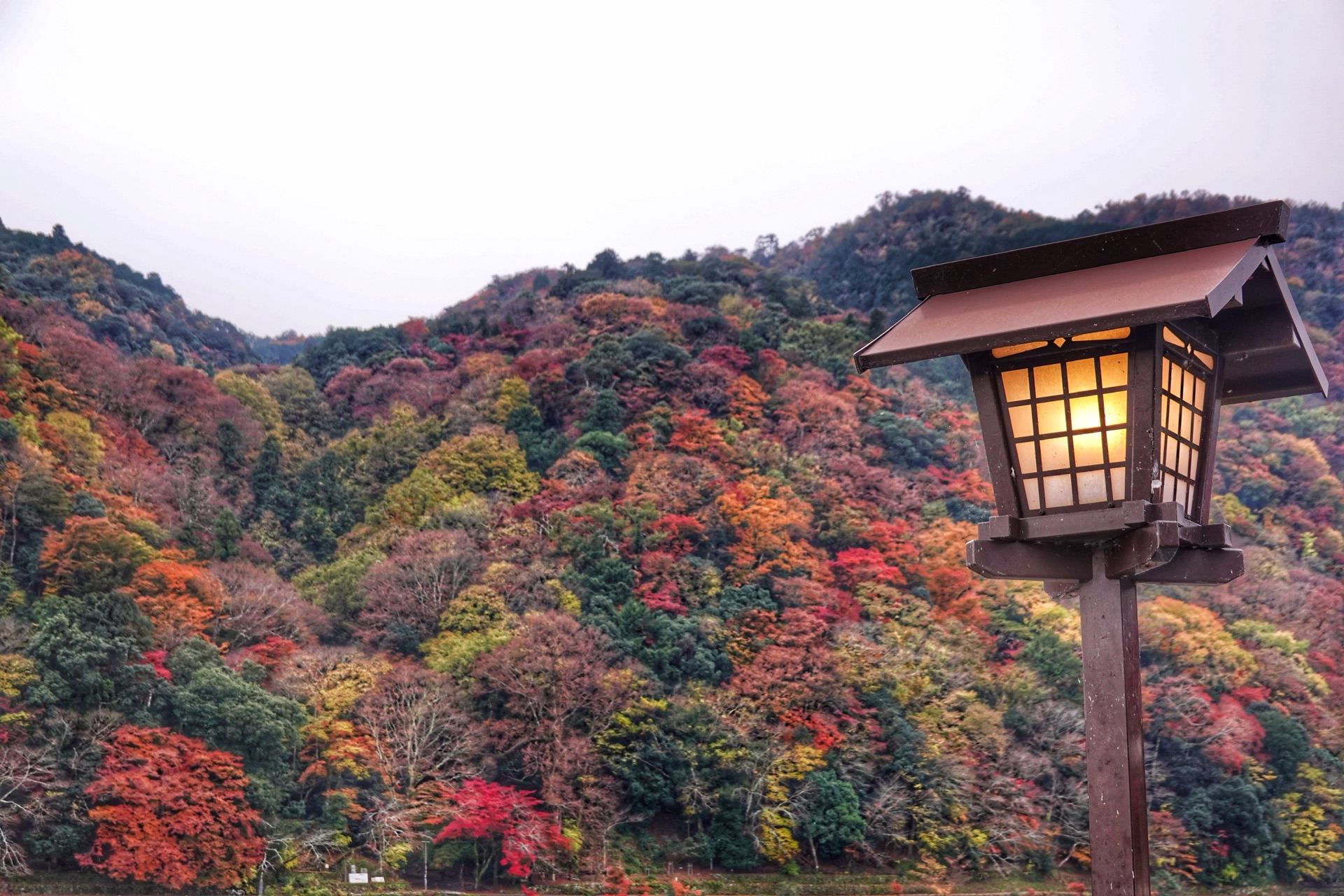 京都自助遊攻略