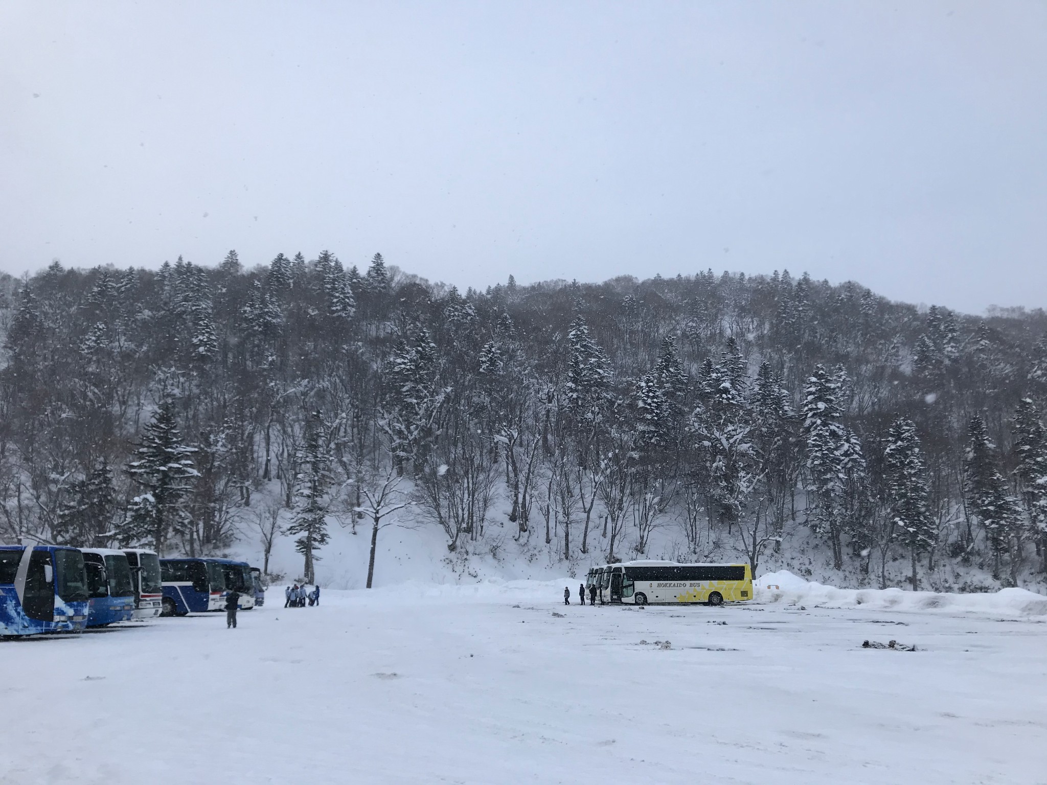 北海道自助遊攻略